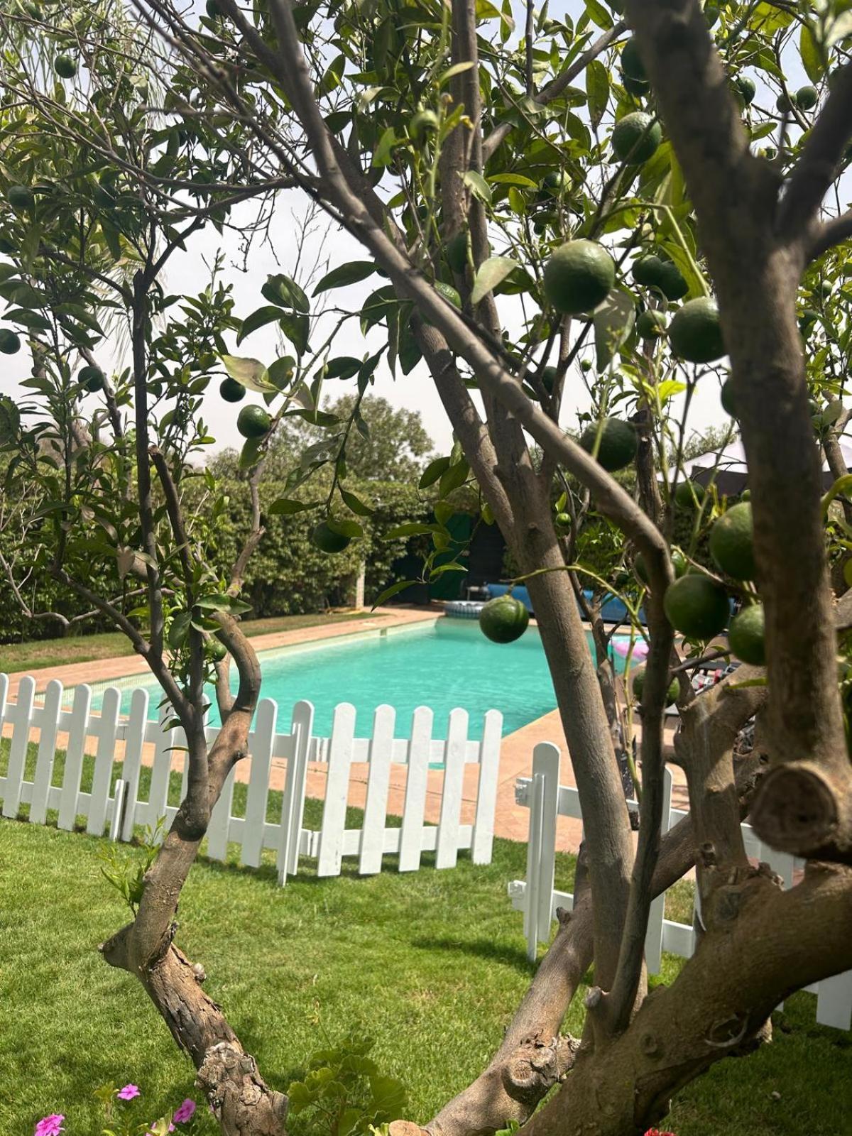 Villa Orangeraie Agadir Exterior photo